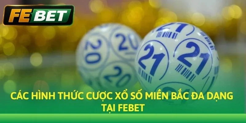 Các hình thức cược Xổ số Miền Bắc đa dạng tại Febet