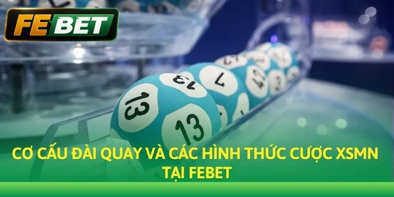 Cơ cấu đài quay và các hình thức cược XSMN tại Febet