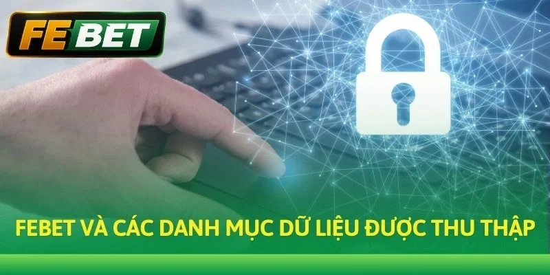 Febet và các danh mục dữ liệu được thu thập