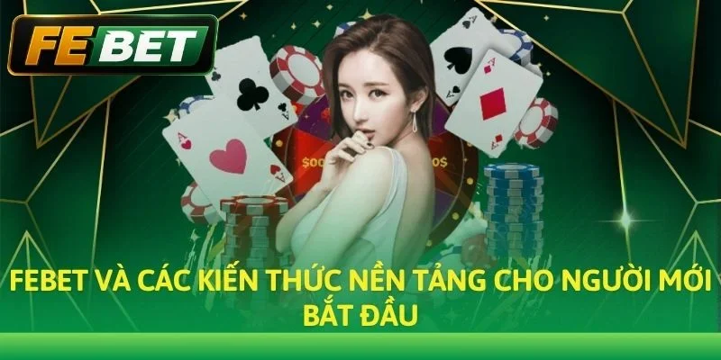 Febet và các kiến thức nền tảng cho người mới bắt đầu