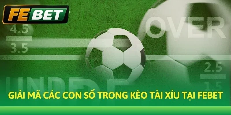 Giải mã các con số trong Kèo Tài Xỉu tại Febet