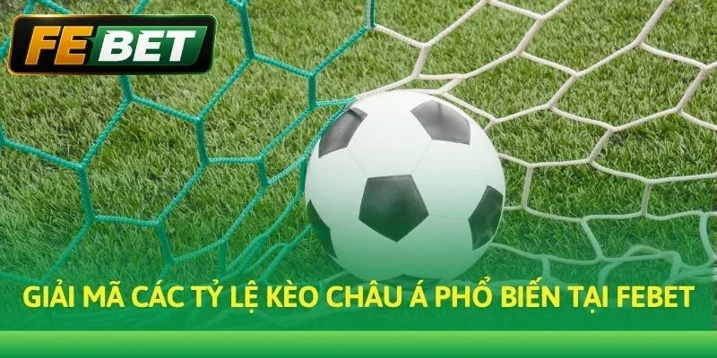 Giải mã các tỷ lệ Kèo Châu Á phổ biến tại Febet
